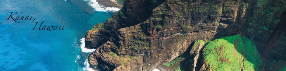 Website-Blanner-Kauai Website-Blanner-Kauai