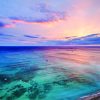 Enveloped in island beauty, Hyatt Regency Waikiki Beach Resort and Spa is your place for aloha.