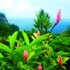 View at Pacific Ocean from Ke'anae Arboretum, Maui, Hawaii.